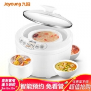 Joyoung 九阳 D-10G1 1L 电炖锅