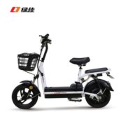 双11预售！Lvjia 绿佳 TDT426Z 电瓶车