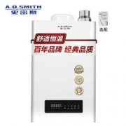 A.O.SMITH 史密斯 JSQ26-J0 燃气热水器 天然气 经典美国灰