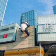 双11预售： 成都太古里美豪/秋果/丽橙酒店 2晚3店通兑（含早、可拆分）