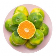 优仙果 宜昌青皮蜜橘 5斤