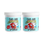 BAD AIR SPONGE 空气除甲醛净化剂