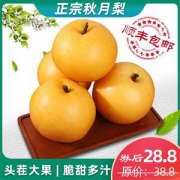 鲜旨到 冰糖秋月梨 5斤礼盒装 6-8枚