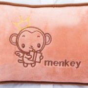 安全防爆！彩芙兰 充电暖手宝 免拆洗