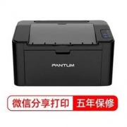 12日0点：PANTUM 奔图 P2206W 黑白激光打印机