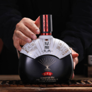 泸州老窖股份出品 原酿天典 百岁坛 52度白酒 999mlx2瓶