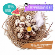 SUPER会员！溢流香 Yiliuxiang 新鲜鹌鹑蛋生蛋100枚 单枚10-14克