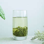 白菜价：一天一叶 2020新茶梵净山毛峰绿茶 250g