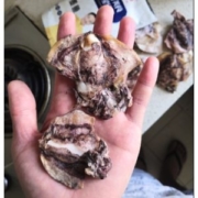 星仔岛 淡晒小墨鱼干 200g 约有十几个