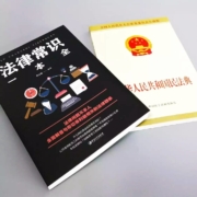 2020年民法典系列丛书 《民法典》+《法律常识一本全》
