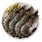 越南黑虎虾 老虎虾大虾 400g *3件