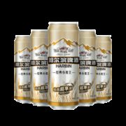 哈尔滨 小麦王啤酒 高升装 550ml*20听