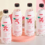 百亿补贴！亲亲元气水 0卡0能量 500ml*12瓶 19.9元包邮