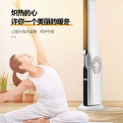 三挡可调+即开即热：美菱 立式取暖器 MPN-DZ2013