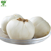 【米家山】兰州鲜甜百合大皇500g