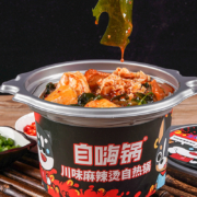 聚划算百亿补贴：自嗨锅 川味麻辣烫