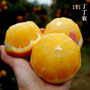 丁丁农 云南丁丁糖橙子 冰糖橙5斤装