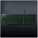 RAZER 雷蛇 猎魂光蛛 标准版 机械键盘 雷蛇光轴