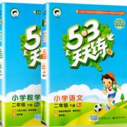 《2020春新版53天天练二年级下册 数学》人教部编版