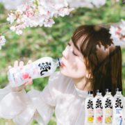 元气森林 0糖0脂0卡 苏打气泡水 480ml*12瓶*2箱