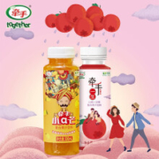牵手果汁饮料10瓶 2瓶沙棘+4瓶芒果+6听山楂