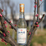 扳倒井  52度白酒 500mL*2