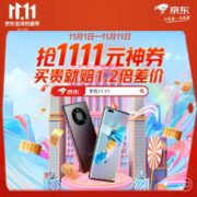 促销活动：京东 手机11.11狂欢日