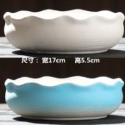 赠运费险！天逸恒佑 多肉陶瓷花盆 17*5.5cm（JL拼盘组合2个-白蓝）