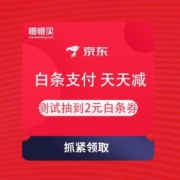 京东白条 白条支付 天天减 最高61.8元白条券
