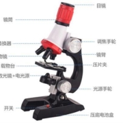 萌小鹰  SPROUT 显微镜  儿童趣味科学小实验