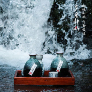 抱龙山牌 十二年陈花雕酒 500mL*6