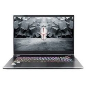 TERRANS FORCE 未来人类 17.3英寸笔记本(i7-10875H、RTX 2070)