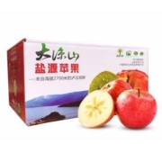 愉果 盐源冰糖心丑苹果 5斤中果12-16个左右