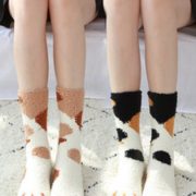 可爱又保暖！浙元素 G-183 女中筒猫爪袜 5双