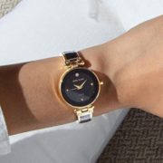 ANNE KLEIN 安妮·克莱因 AK/V1980BKGB 女士石英腕表 含税到手约177.2元