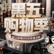 某东国际黑五购物季