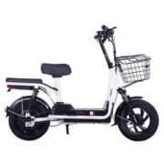TAENT 踏浪 TDT125Z 新国标电动车