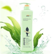 ADOLPH 阿道夫 洗发水护发素洗护套装 500ml*2瓶