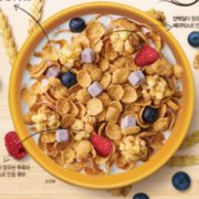 韩国进口！家乐氏 诺兰诺拉 水果麦片500g*2件
