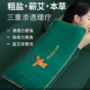 木顿 电加热 艾草海盐热敷包