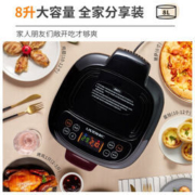 历史低价： LIVEN 利仁 KZ-D8000B 空气炸锅 8L