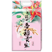 十月稻田 香稻贡米 5kgx2件
