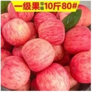 HUABEIQIANG 华北强 山西红富士苹果 10斤装