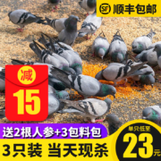 持平史低，1000g 守绿 新鲜乳鸽农家散养鸽子 3只