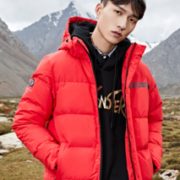 11日0点！361° 5551944324 男士加厚羽绒服 224元包邮（限前1小时，需用券）