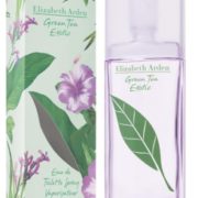 Elizabeth Arden 伊丽莎白雅顿 异域风情绿茶女士淡香水 100ml
