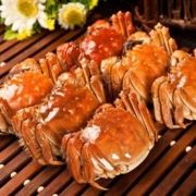 蟹阳坊 现货鲜活大闸蟹礼盒装 公3.5两 母2.5两 4对8只