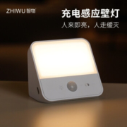 慢津贴：ZHIWU 智物 智能壁灯 人体感应款