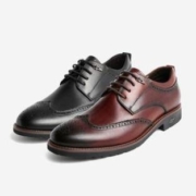 京东PLUS会员： BeLLE 百丽 B8726CM9 布洛克牛皮男鞋