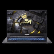 战神 G8-CUTNK 17.3英寸 笔记本电脑（(i7-10750H、16GB、256GB+1TB SSD、RTX 2060）